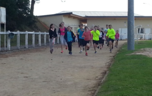 les entraînements reprennent